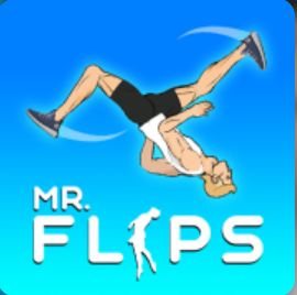 Mr Flips